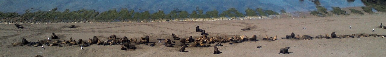 Photo of Punta Norte (3)