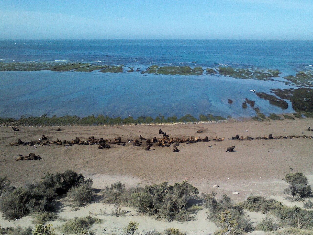 Photo of Punta Norte (4)