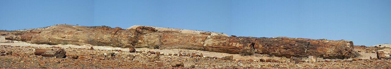 Photo of Monumento Natural Bosques Petrificados (3)
