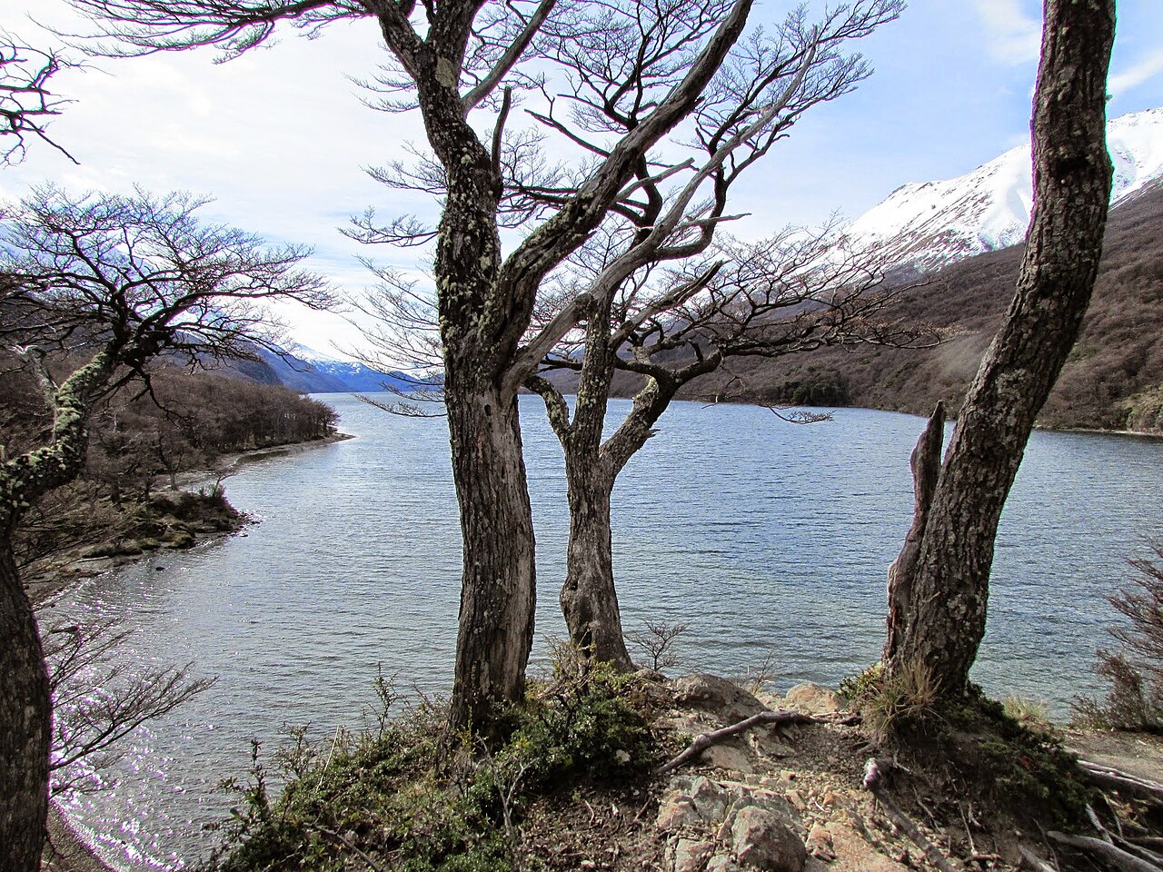 Foto de Lago del Desierto (3)