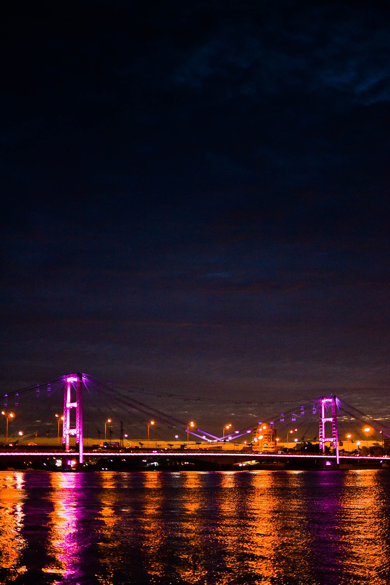 Foto de Puente Colgante de Santa Fe (4)