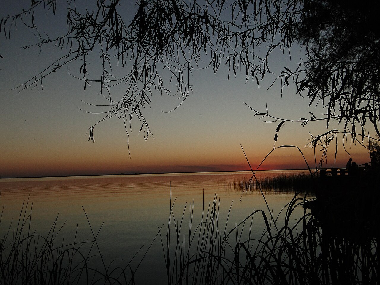 Laguna Iberá en Colonia Carlos Pellegrini