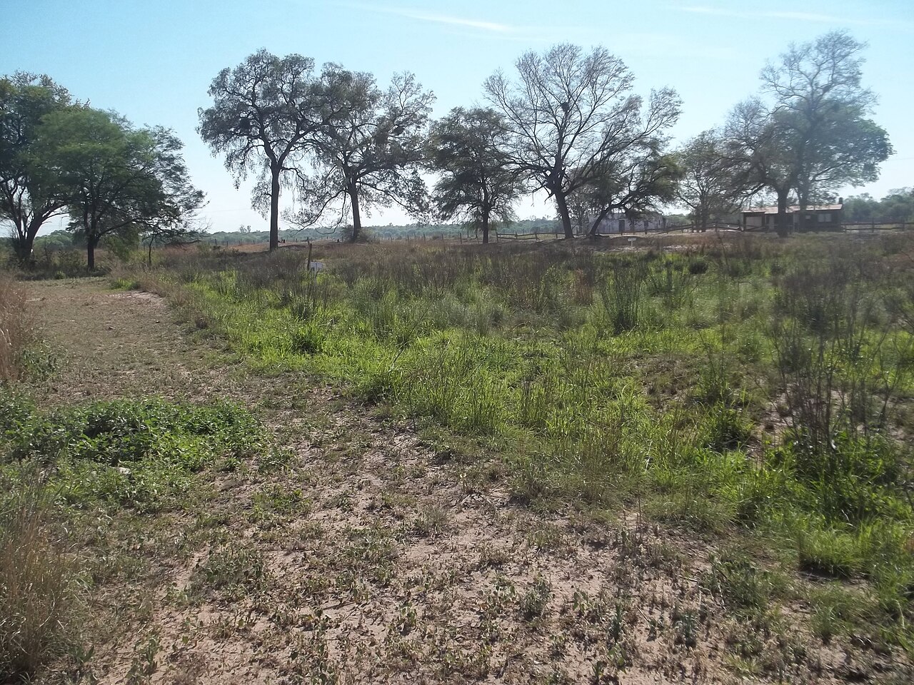 Ruinas de Concepción del Bermejo