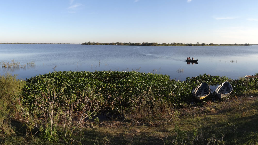 Foto de Reserva Laguna Oca (3)