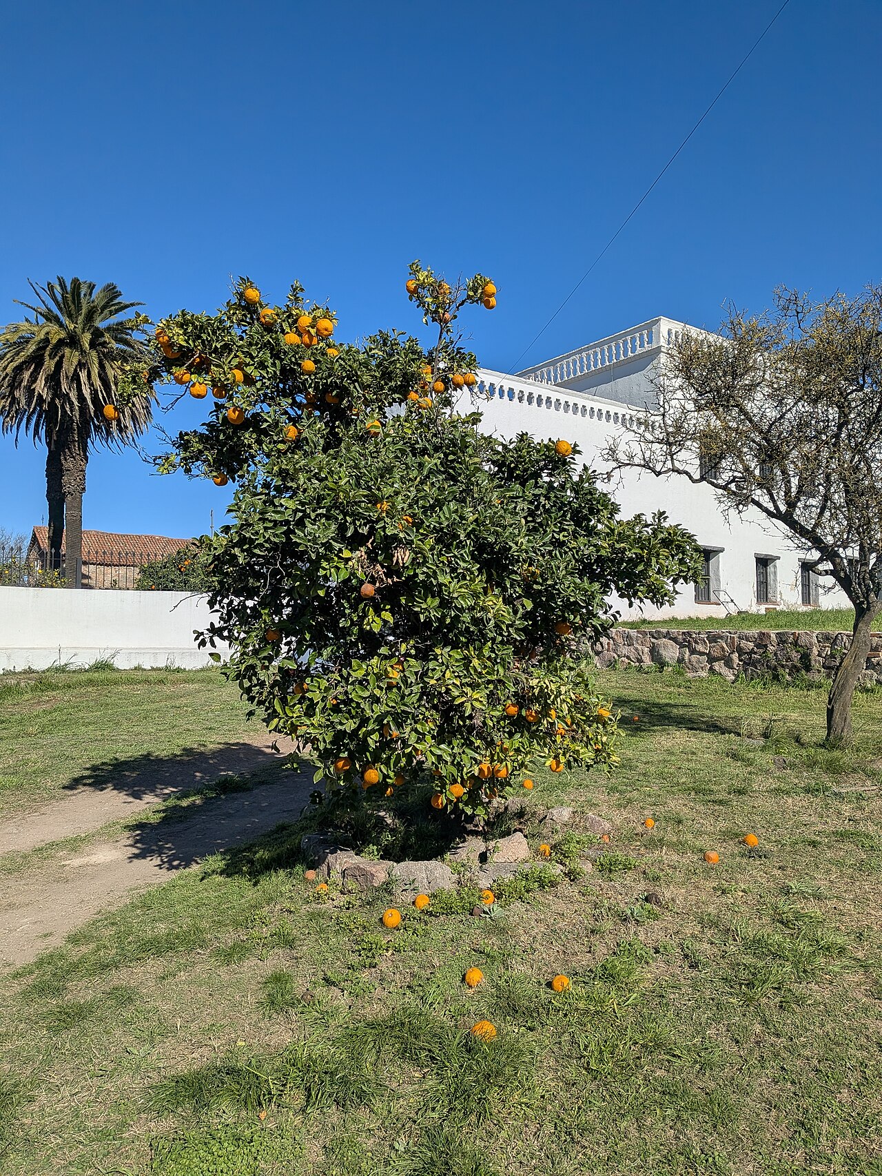Foto de Estancia Jesuítica de Caroya (4)