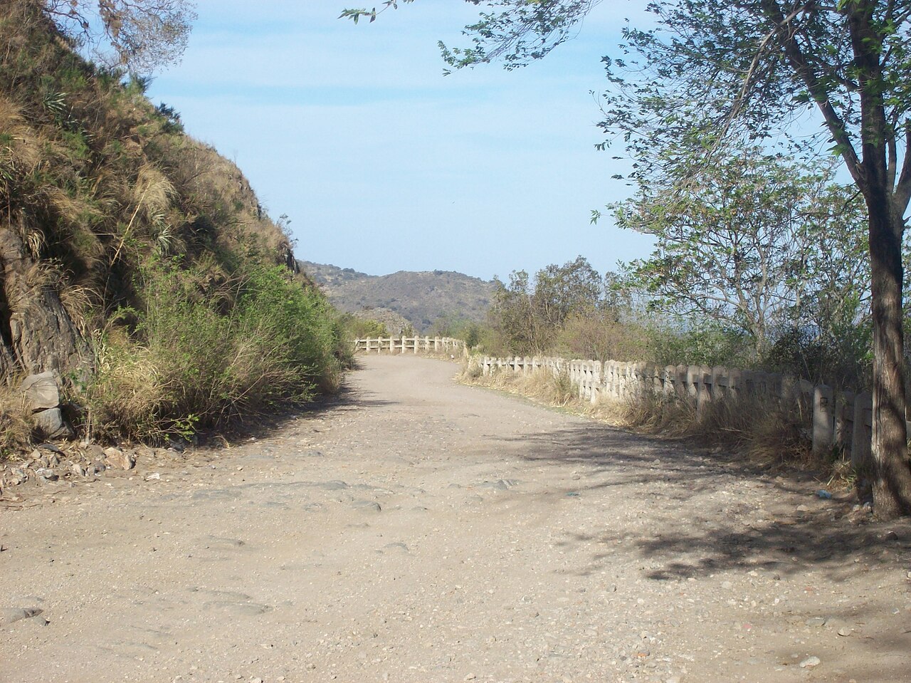 Foto de Cerro Pan de Azúcar (5)