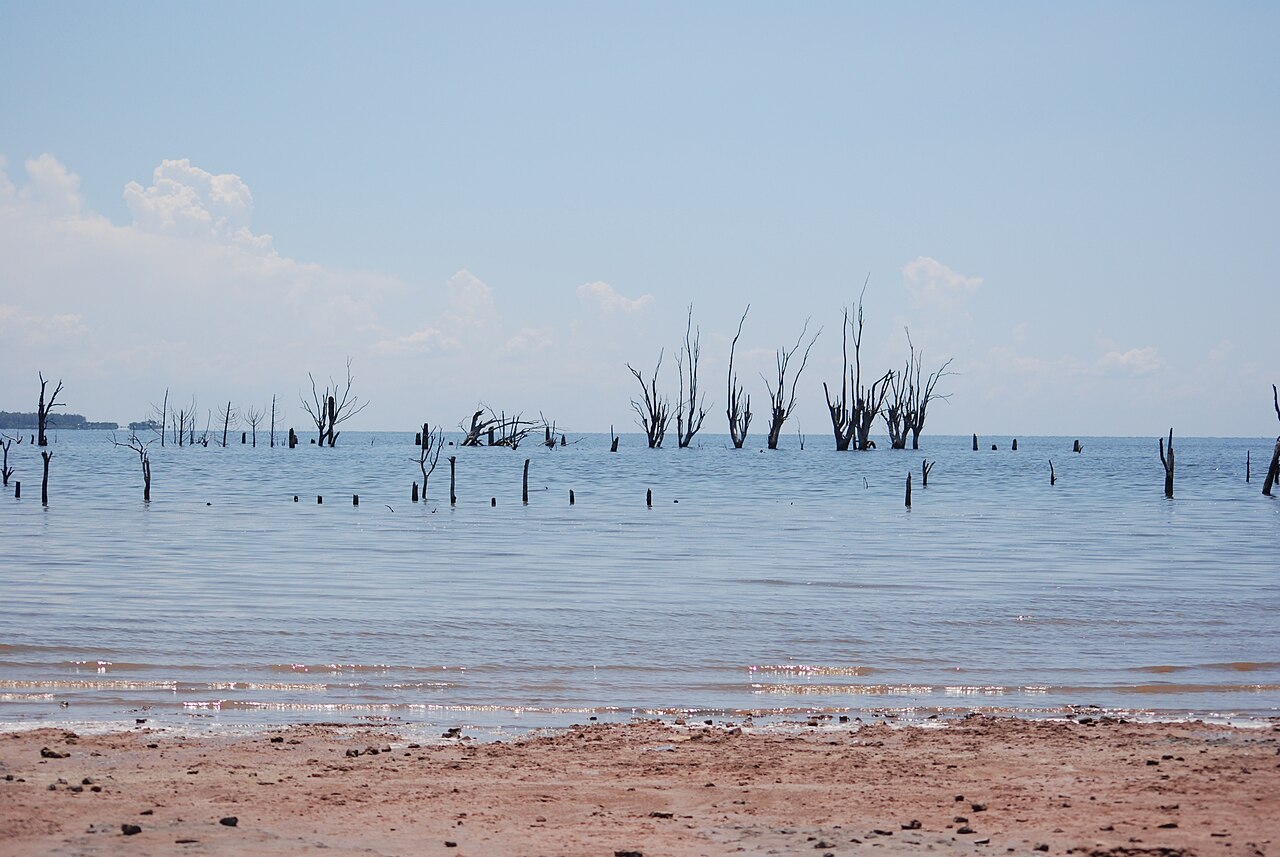 Foto de Costanera de Miramar de Ansenuza (3)