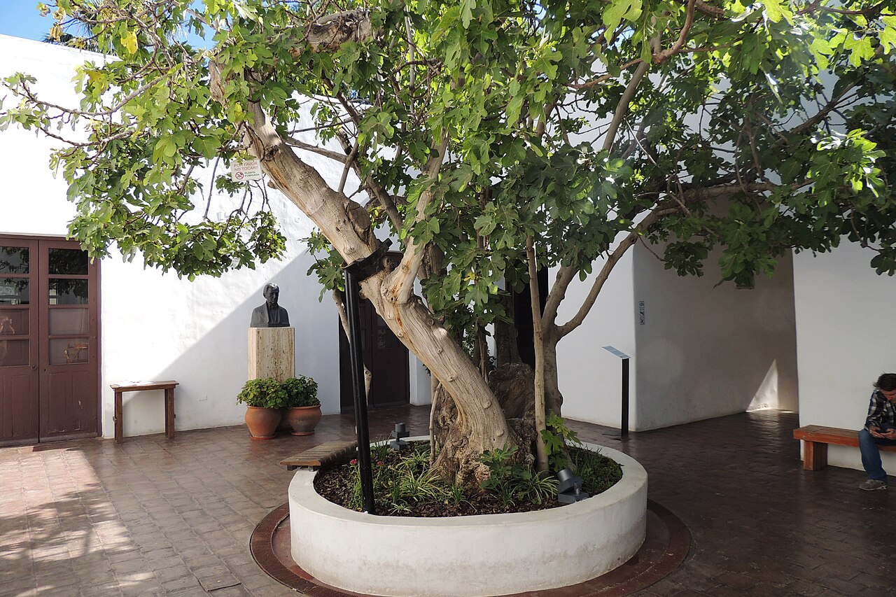 Foto de Casa Natal de Sarmiento (3)