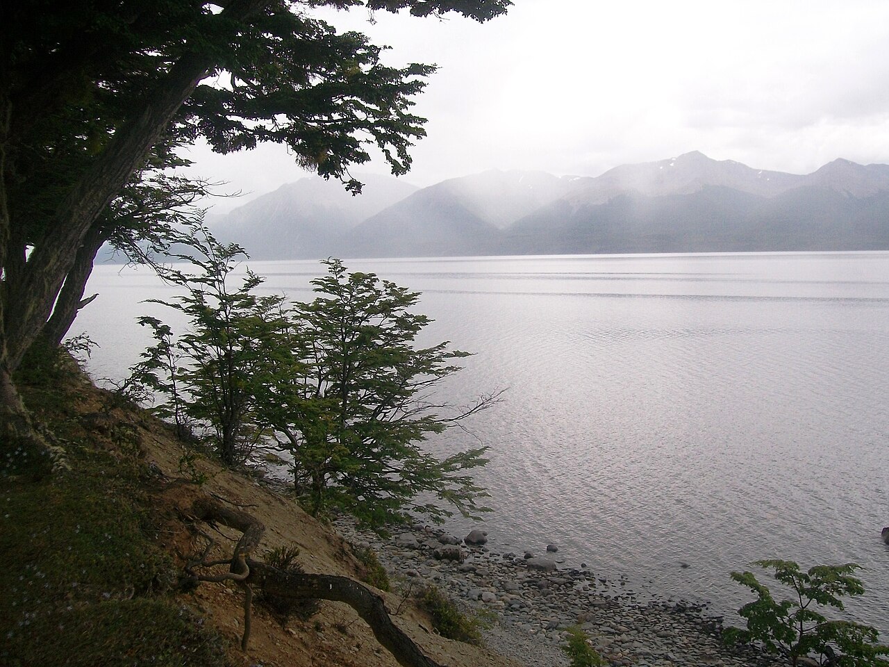 Foto de Costa del lago Fagnano en Tolhuin (3)