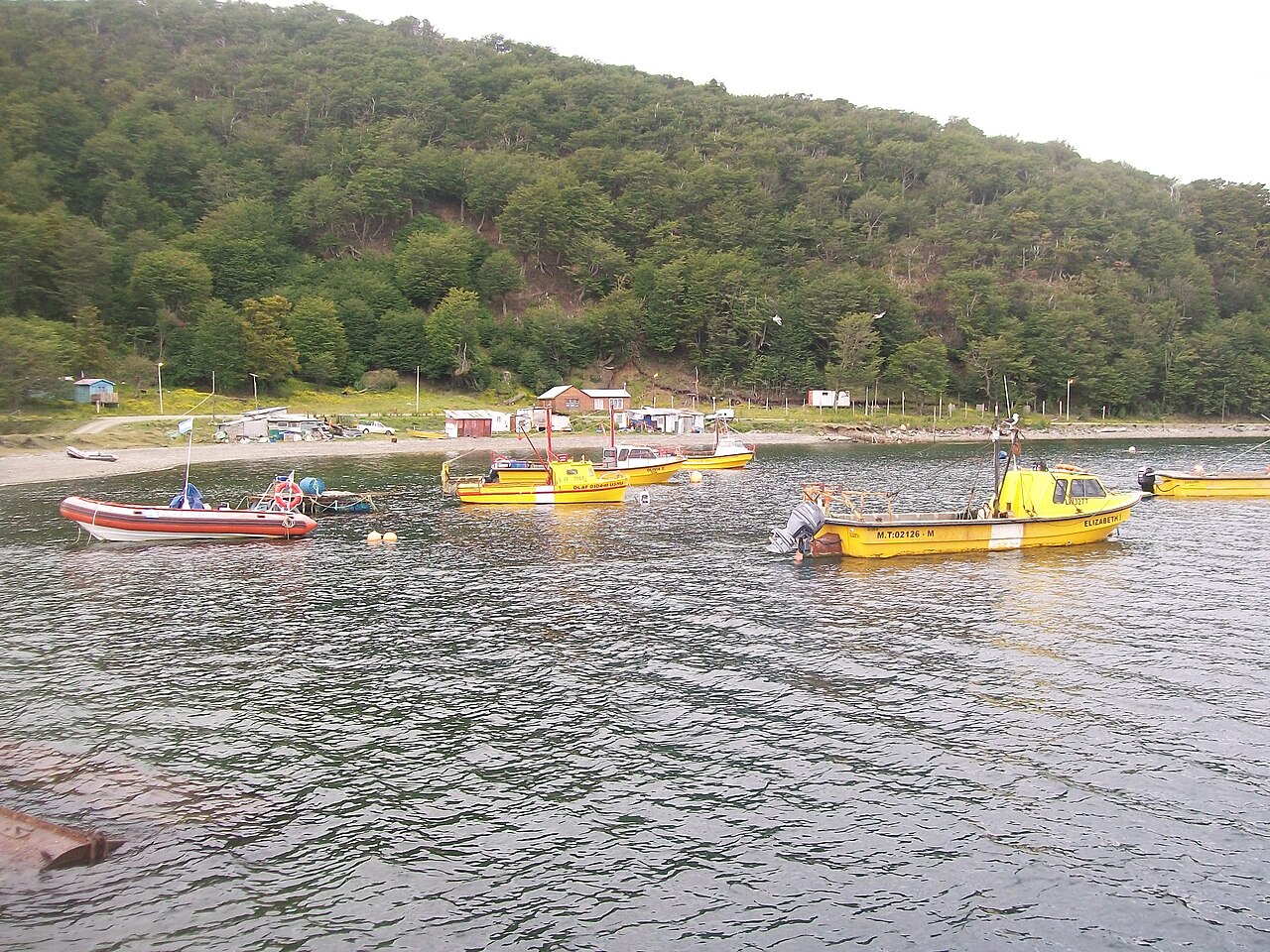 Foto de Puerto Almanza (3)