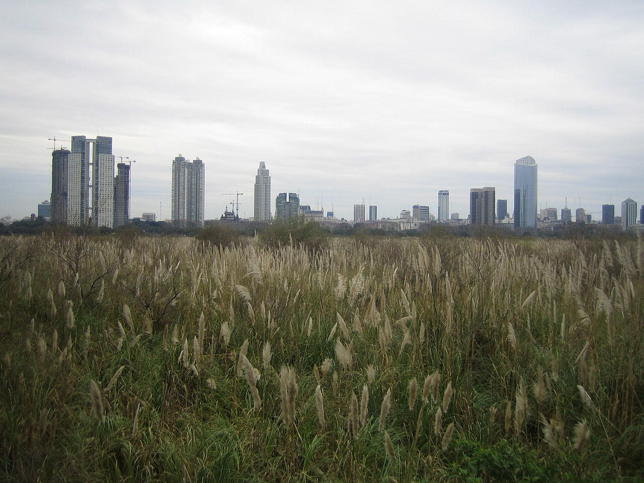 Reserva Ecológica Costanera Sur