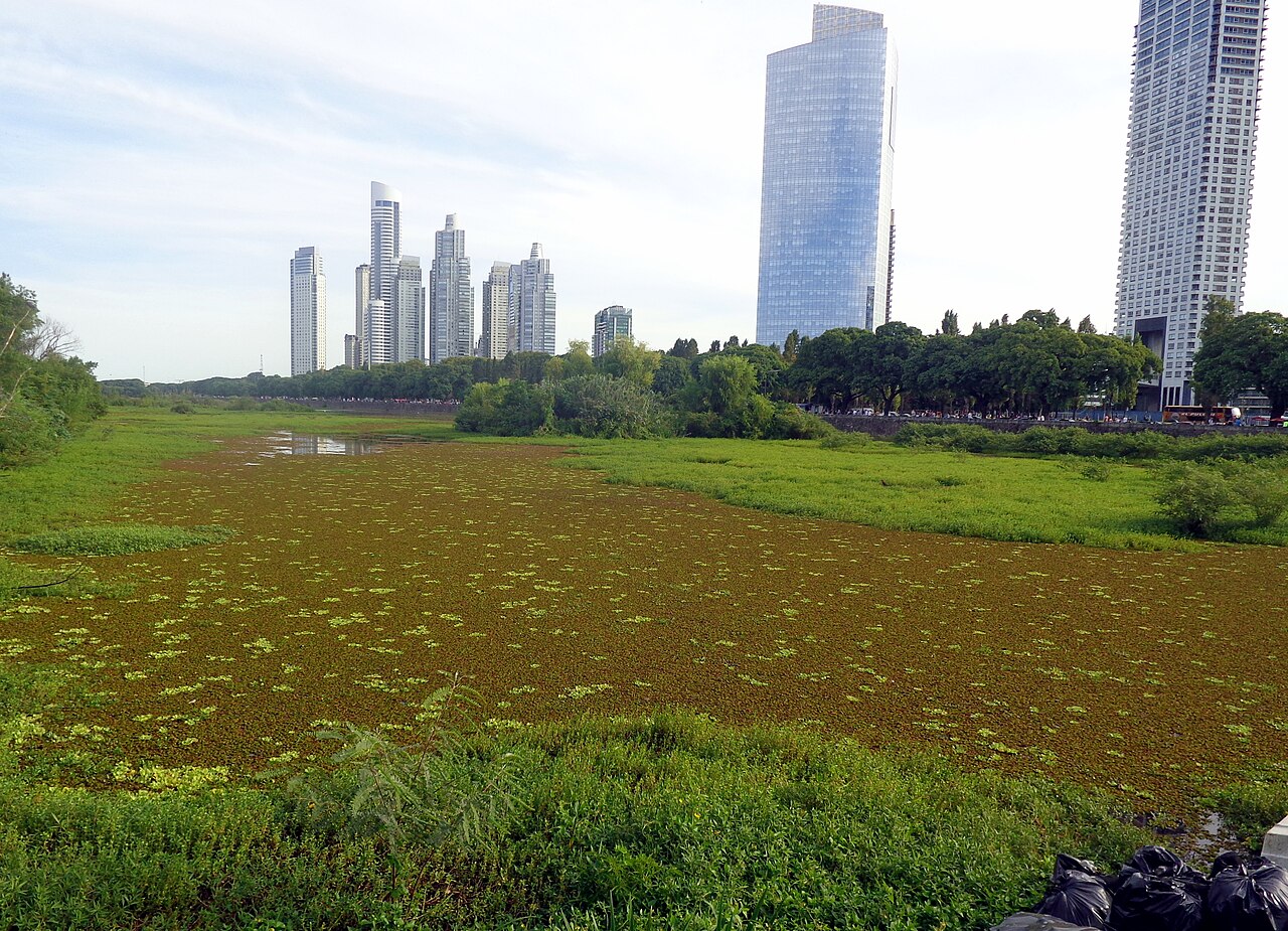 Foto de Reserva Ecológica Costanera Sur (3)
