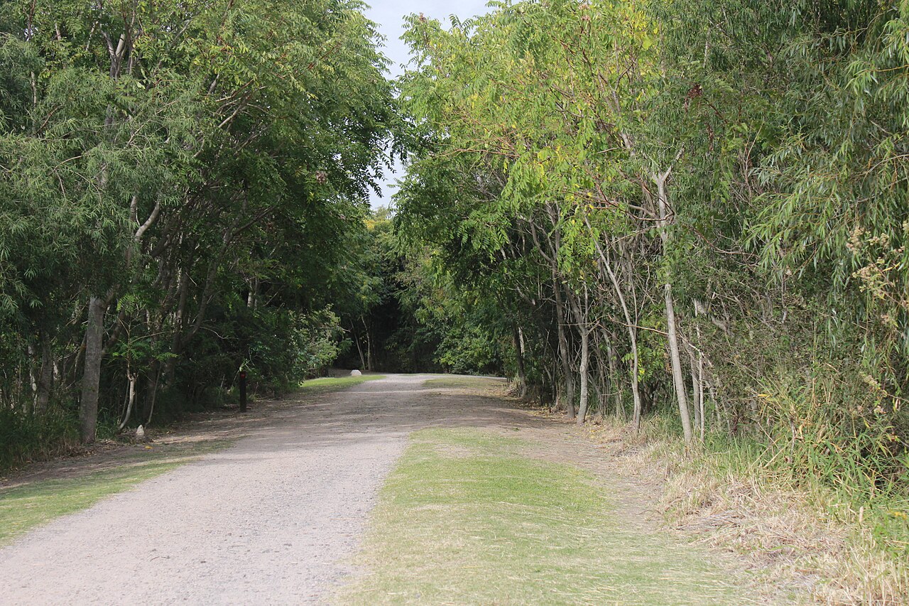 Foto de Reserva Ecológica Costanera Sur (4)