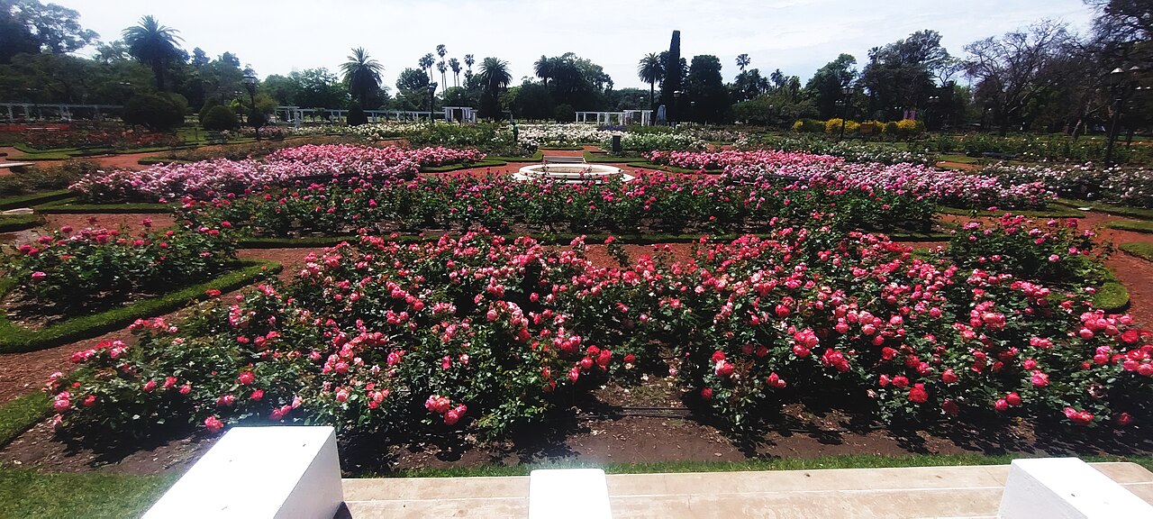 Foto de Bosques de Palermo y Rosedal (3)