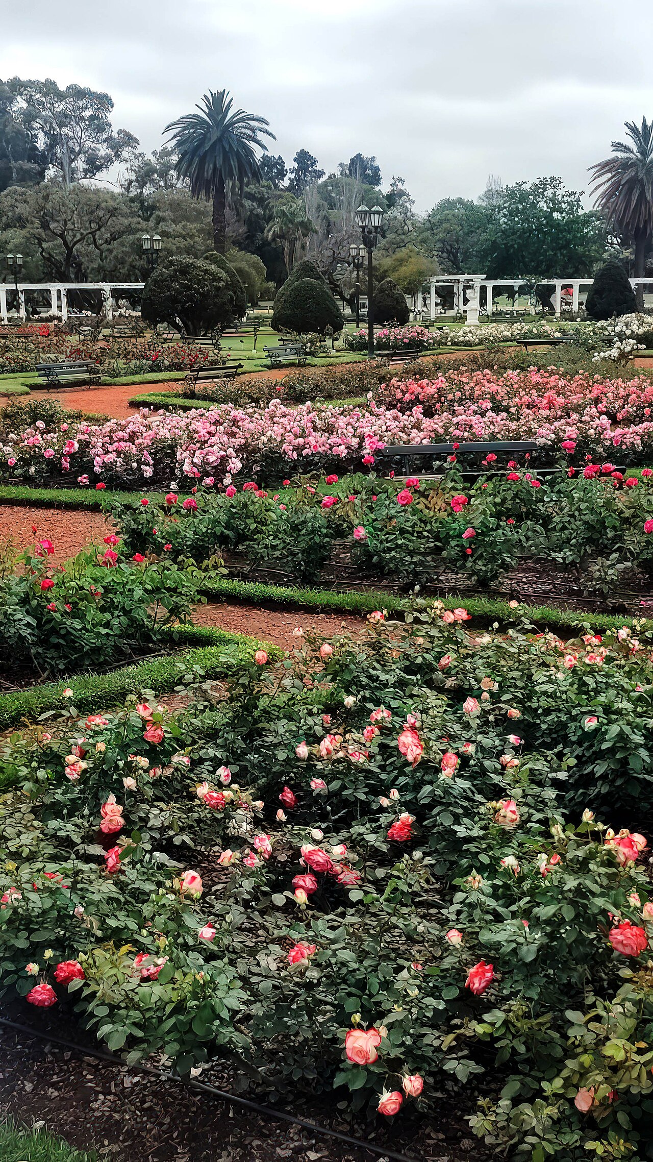 Foto de Bosques de Palermo y Rosedal (4)