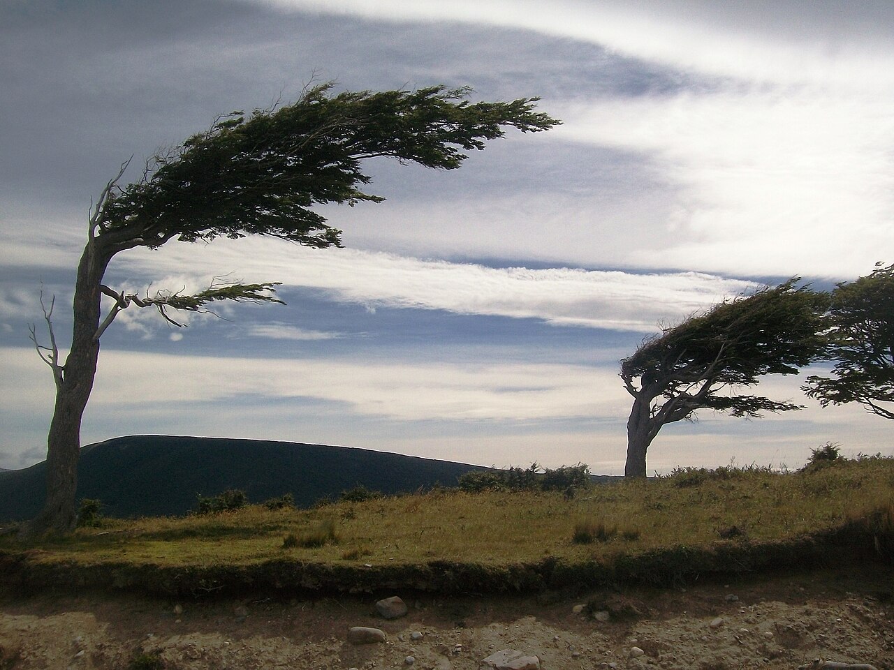 RCJ: Ruta 3 → Estancia Harberton por la costa del Beagle