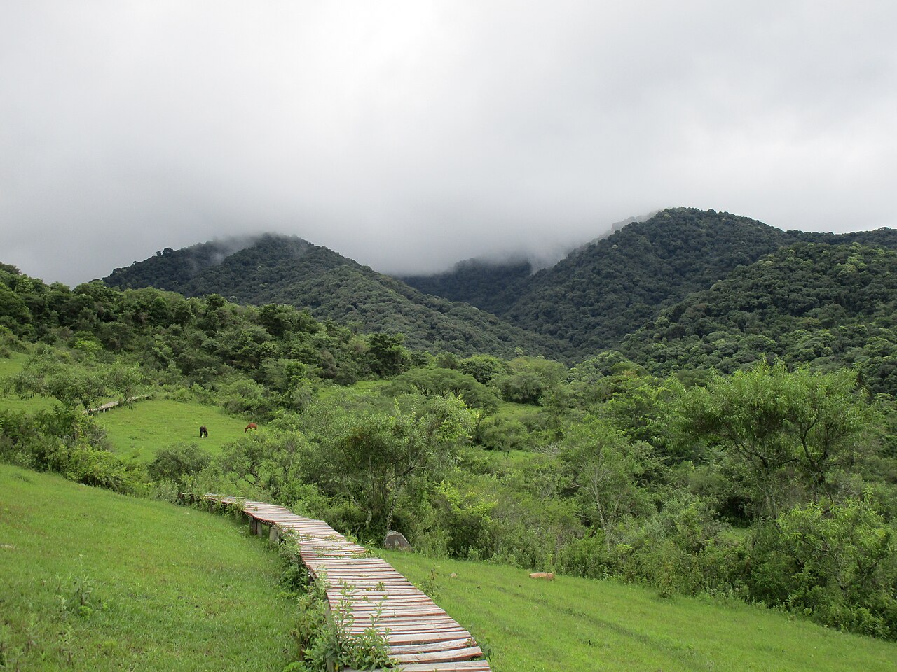 Foto de Quebrada de San Lorenzo (3)