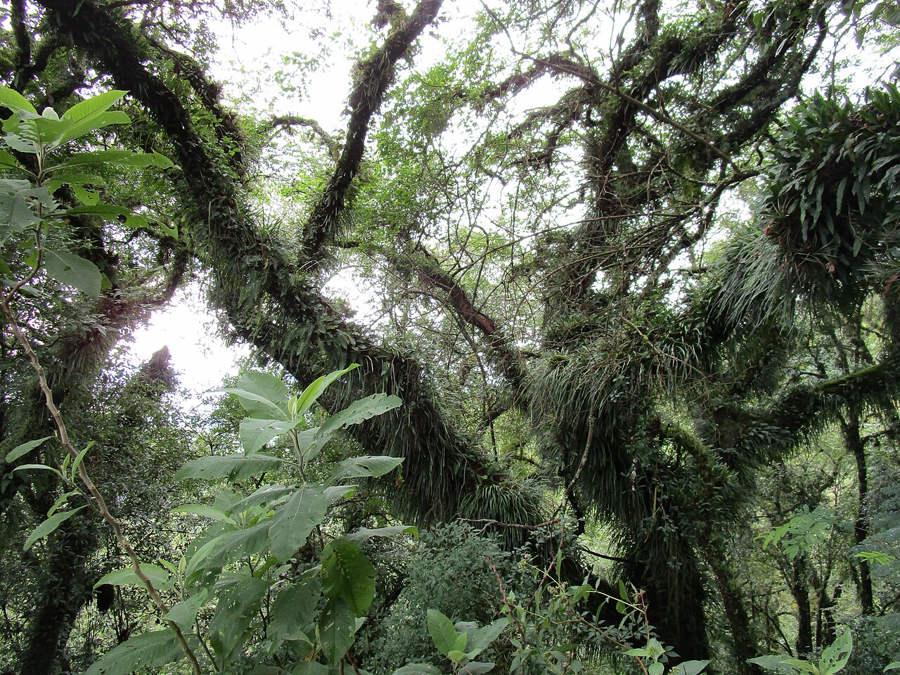 Foto de Quebrada de San Lorenzo (4)