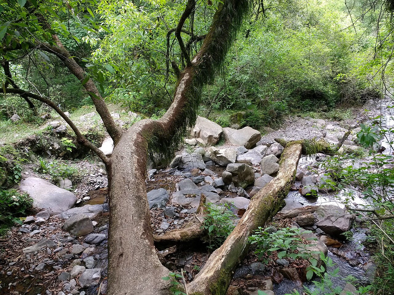 Foto de Quebrada de San Lorenzo (5)