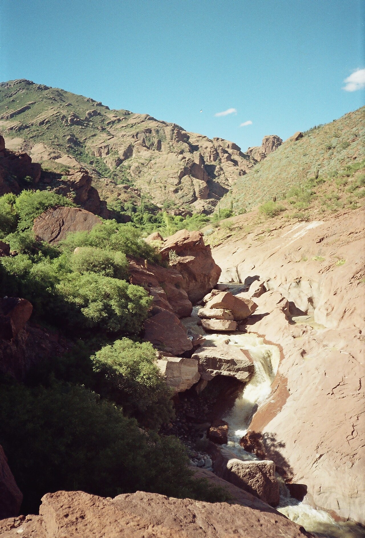 Laguna de Brealito