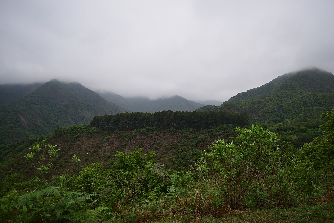 Foto de Laguna de Yala (4)
