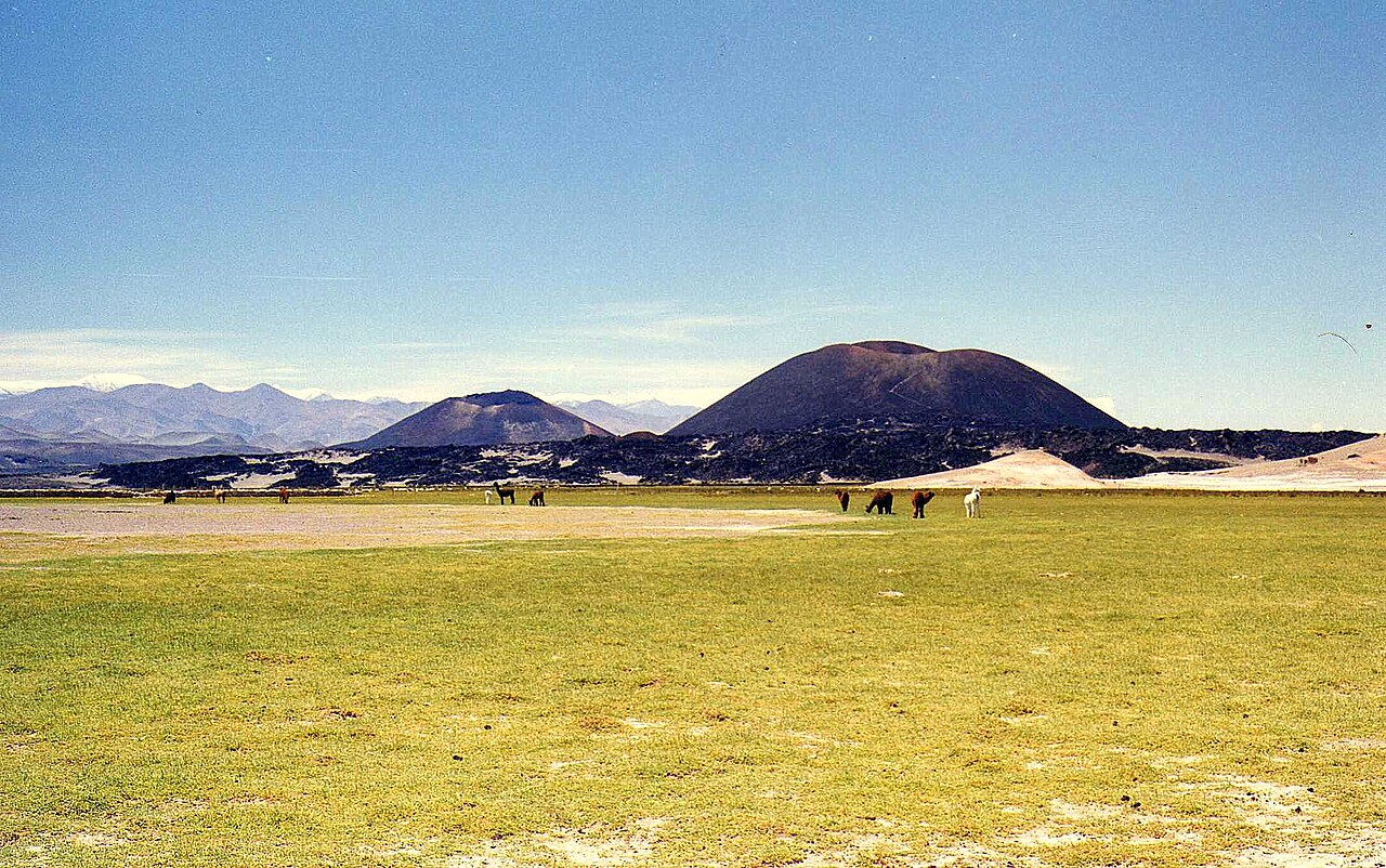 Foto de Volcanes de Antofagasta de la Sierra (3)