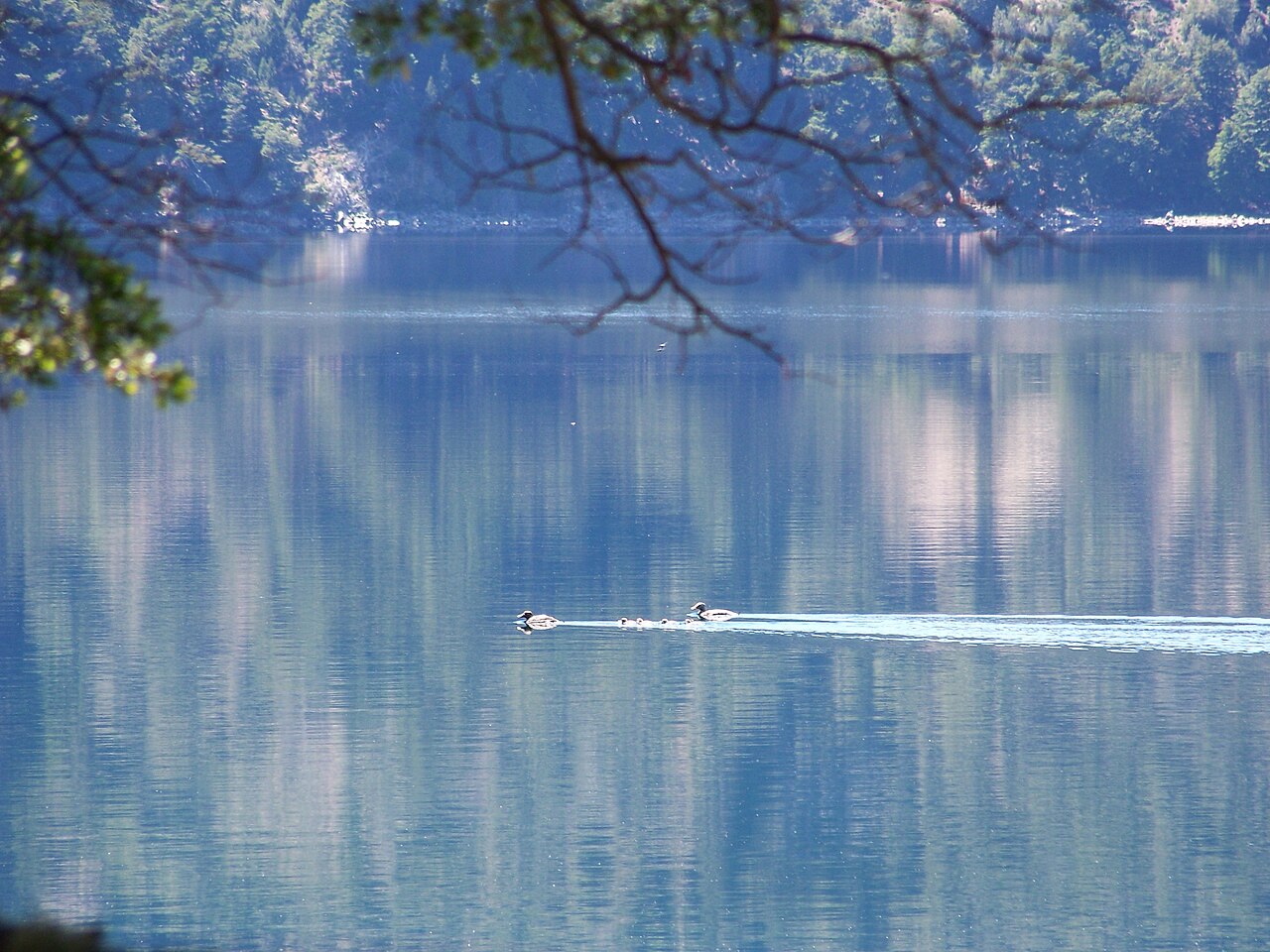 Lago Moquehue