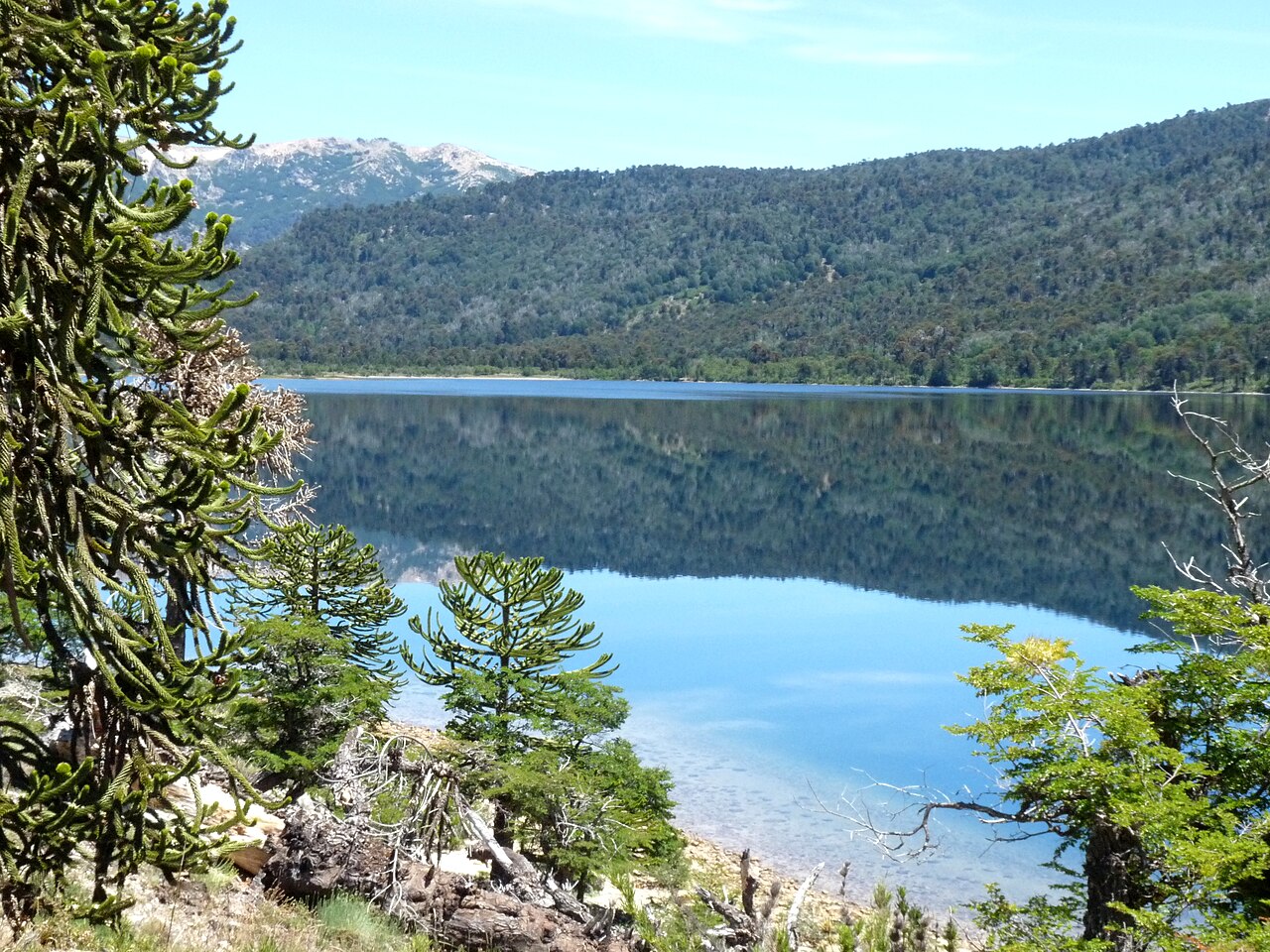 Lago Ruca Choroi