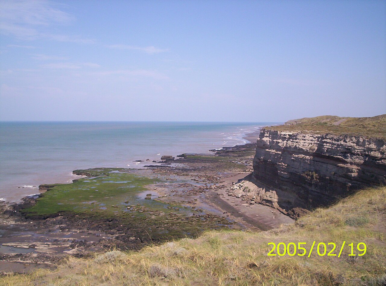 Foto de Lobería de Punta Bermeja (3)