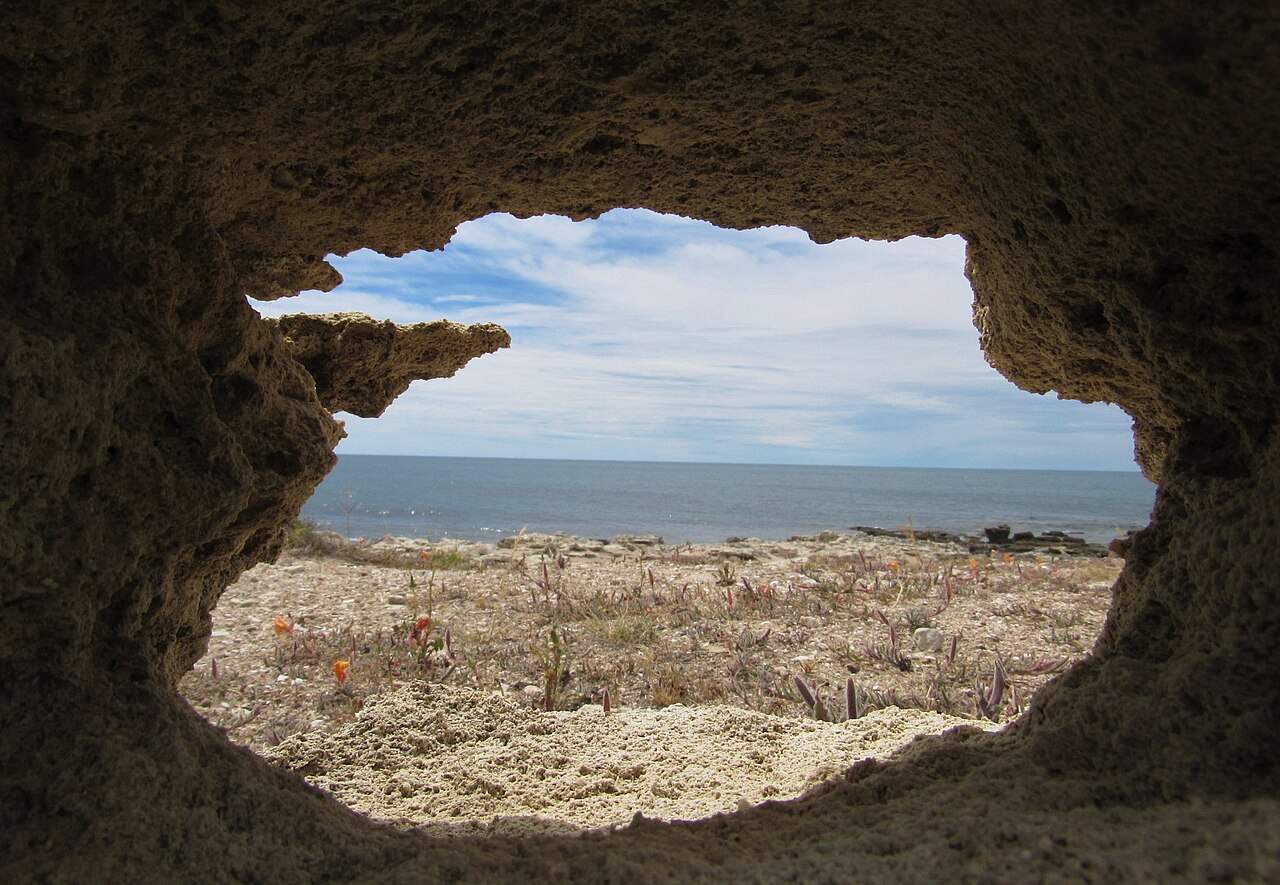 Foto de Playas Doradas (3)