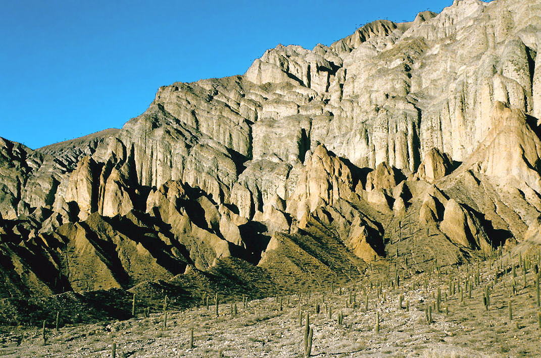 Foto de RN51: Campo Quijano → Santa Rosa de Tastil por la Quebrada del Toro (3)