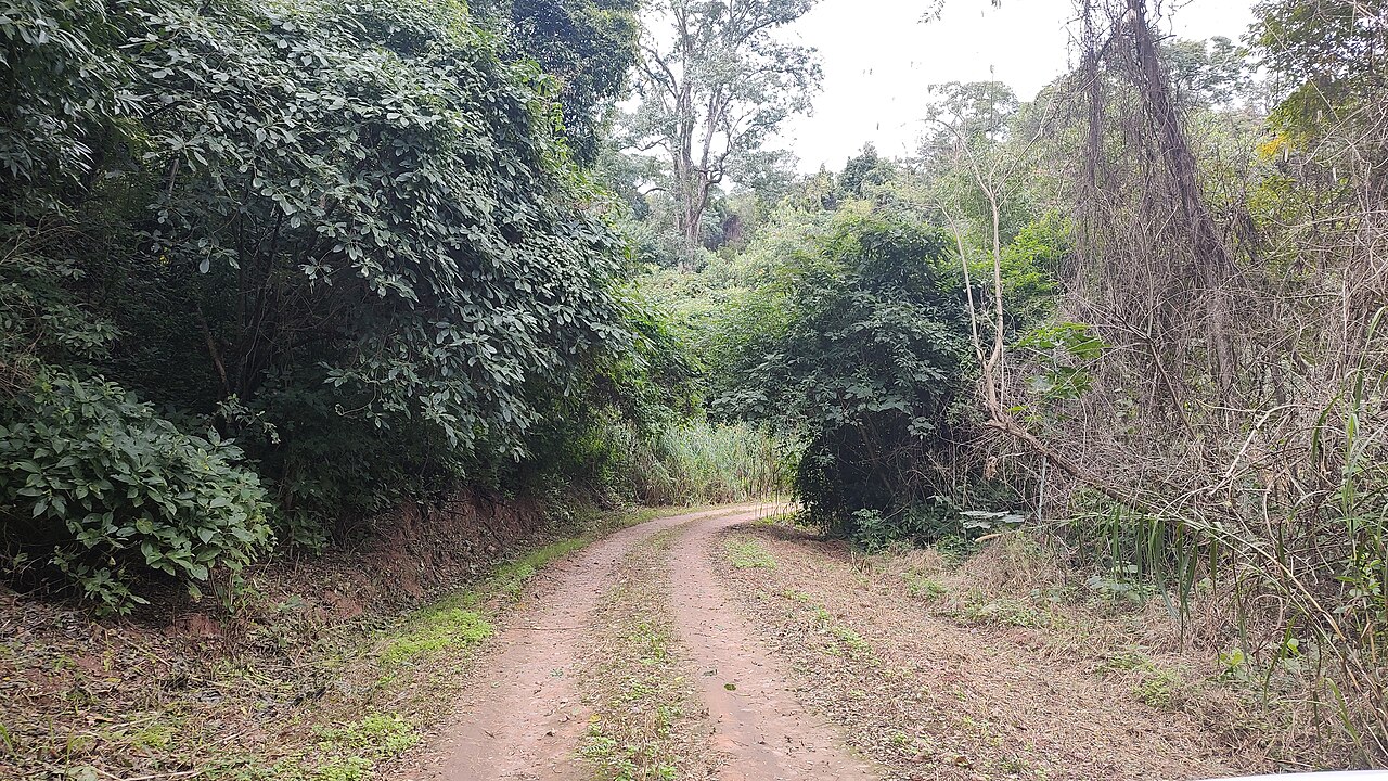 RP83: Calilegua → San Francisco por las yungas de Calilegua