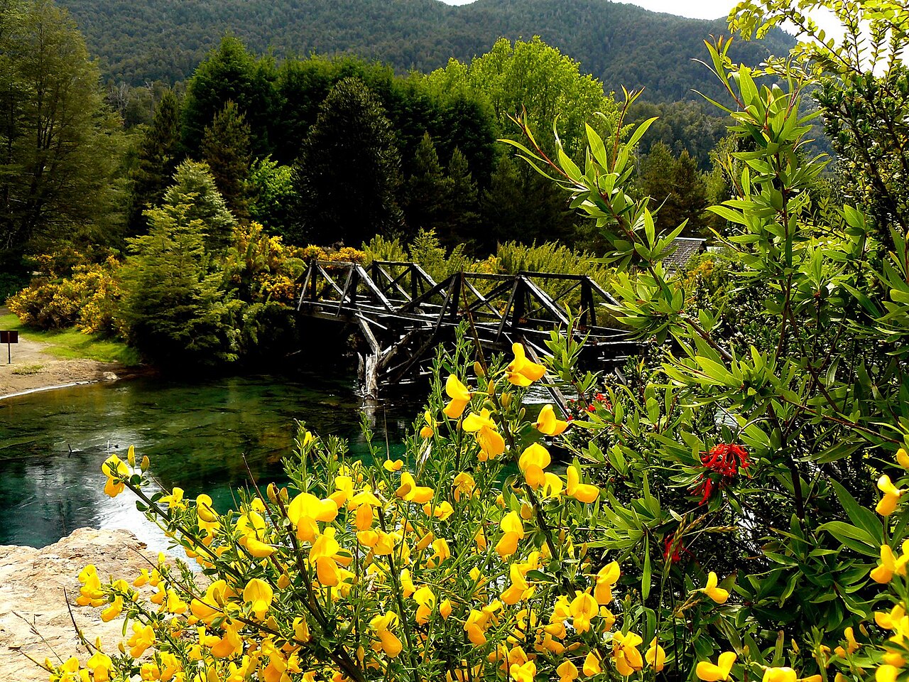 Foto de RN40: San Martín de los Andes → Villa La Angostura por el Camino de los Siete Lagos (3)