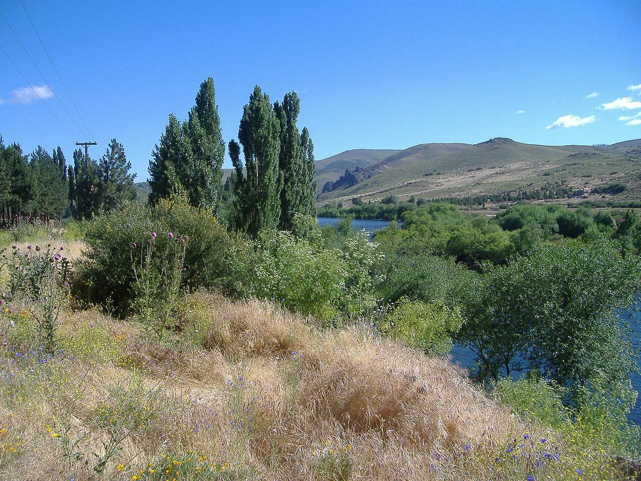 Foto de RP23: Junín de los Andes → Aluminé por el valle del río Aluminé (4)
