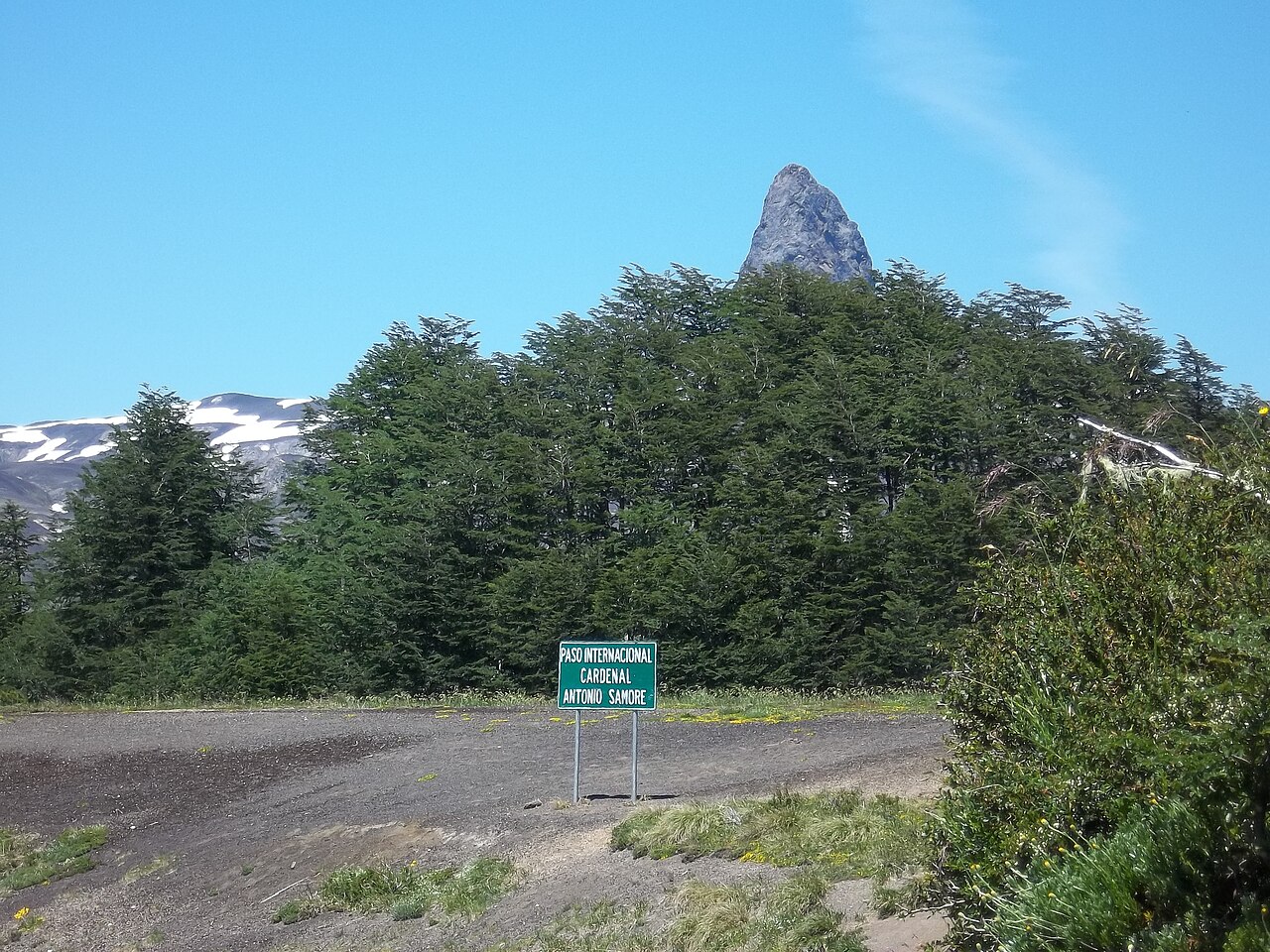 Foto de RN231: Villa La Angostura → Paso Cardenal Samoré (3)