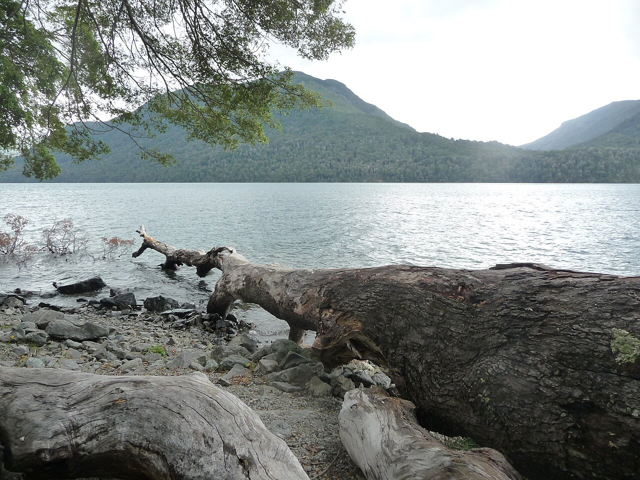 Foto de RN40: Bariloche → El Bolsón por los lagos Gutiérrez, Mascardi y Guillelmo (4)