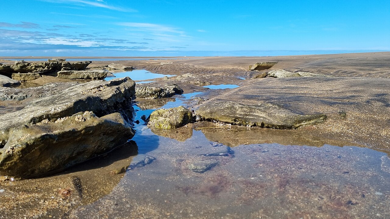Foto de RP1: Viedma → Punta Bermeja por la costa de El Cóndor (3)