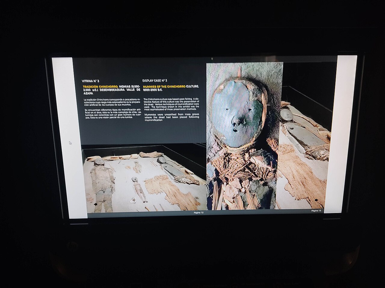 Foto de Museo Arqueológico San Miguel de Azapa (3)
