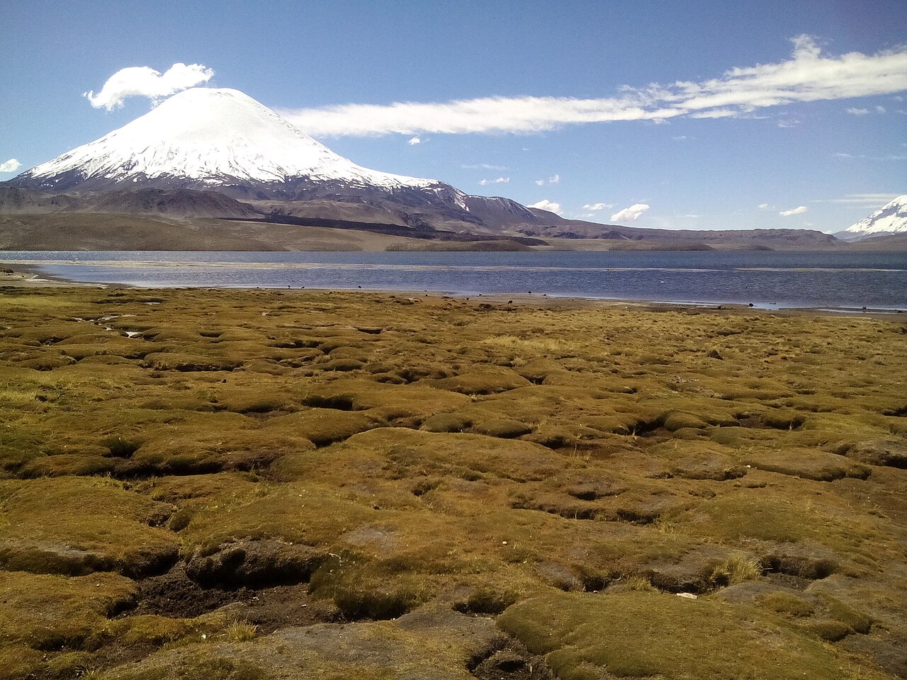 Lago Chungará