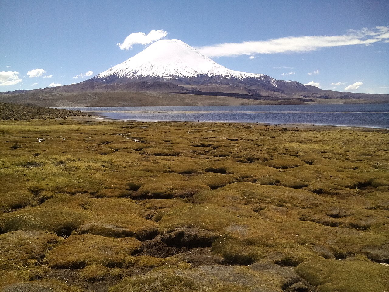 Foto de Lago Chungará (3)