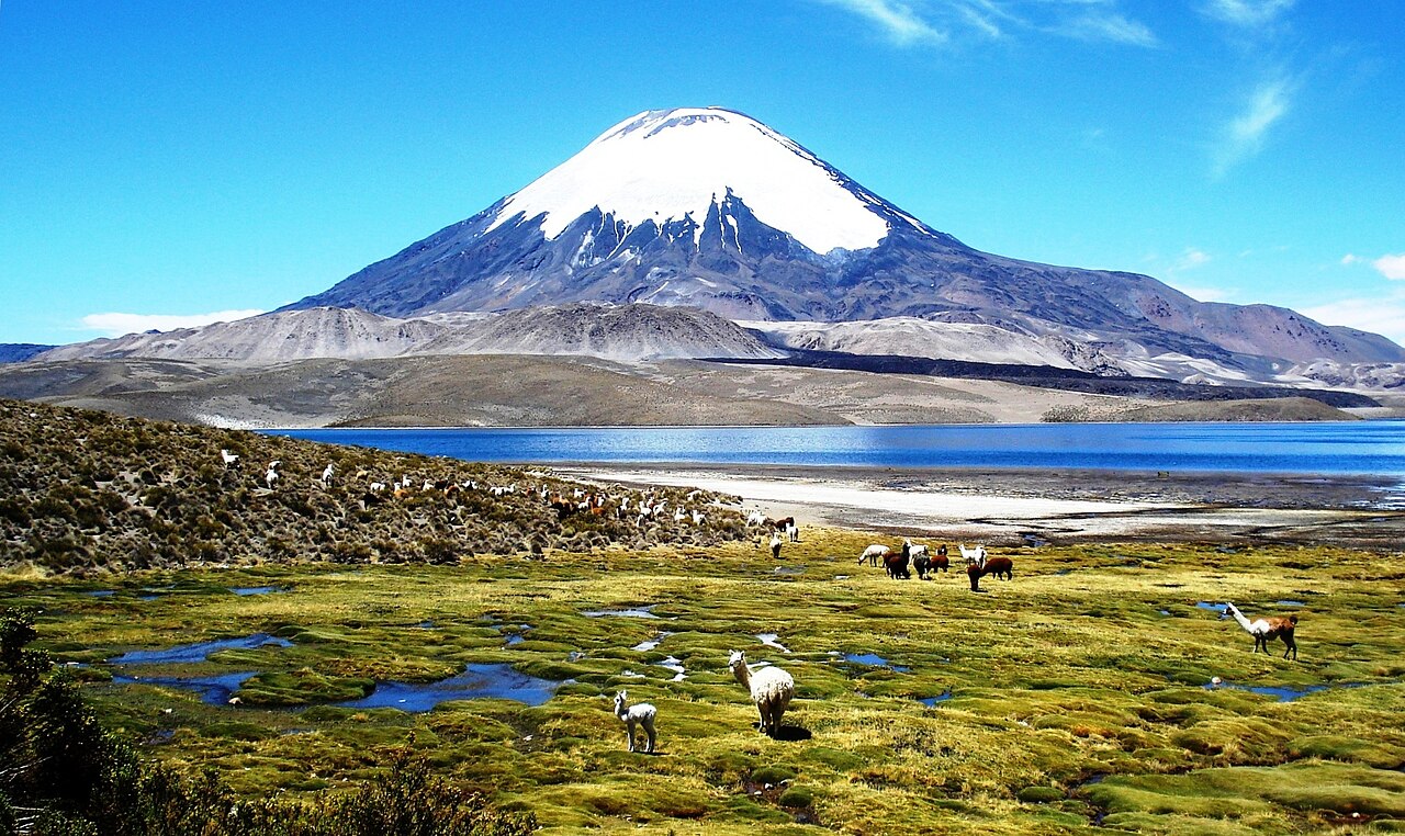 Foto de Lago Chungará (5)