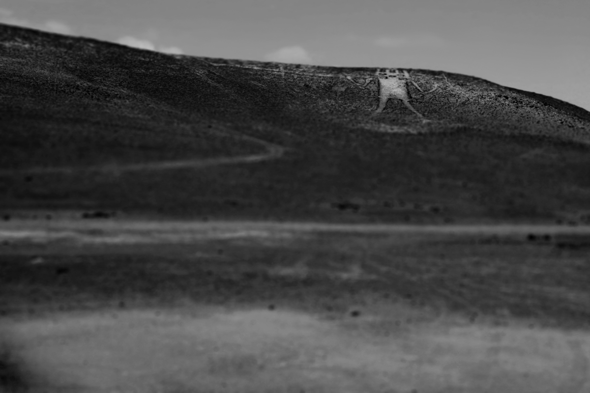 Photo of Gigante de Atacama (5)