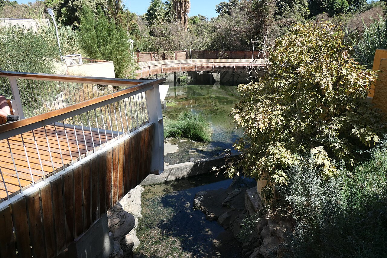 Foto de Cocha Resbaladero (4)
