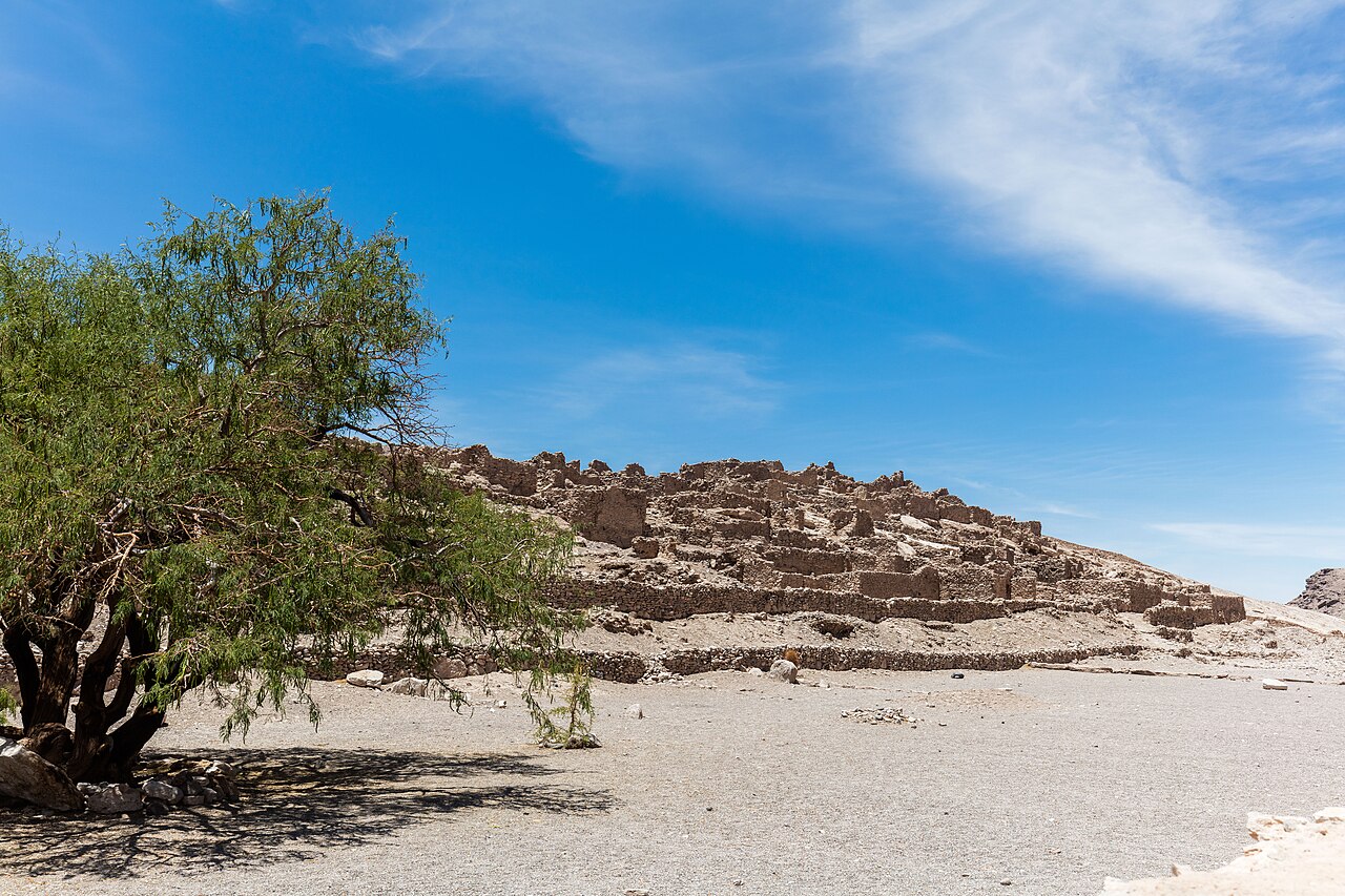 Photo of Pukará de Lasana (4)