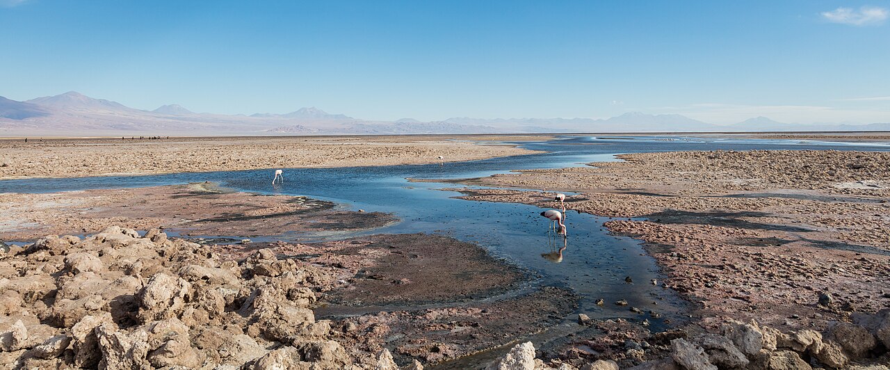 Laguna Chaxa