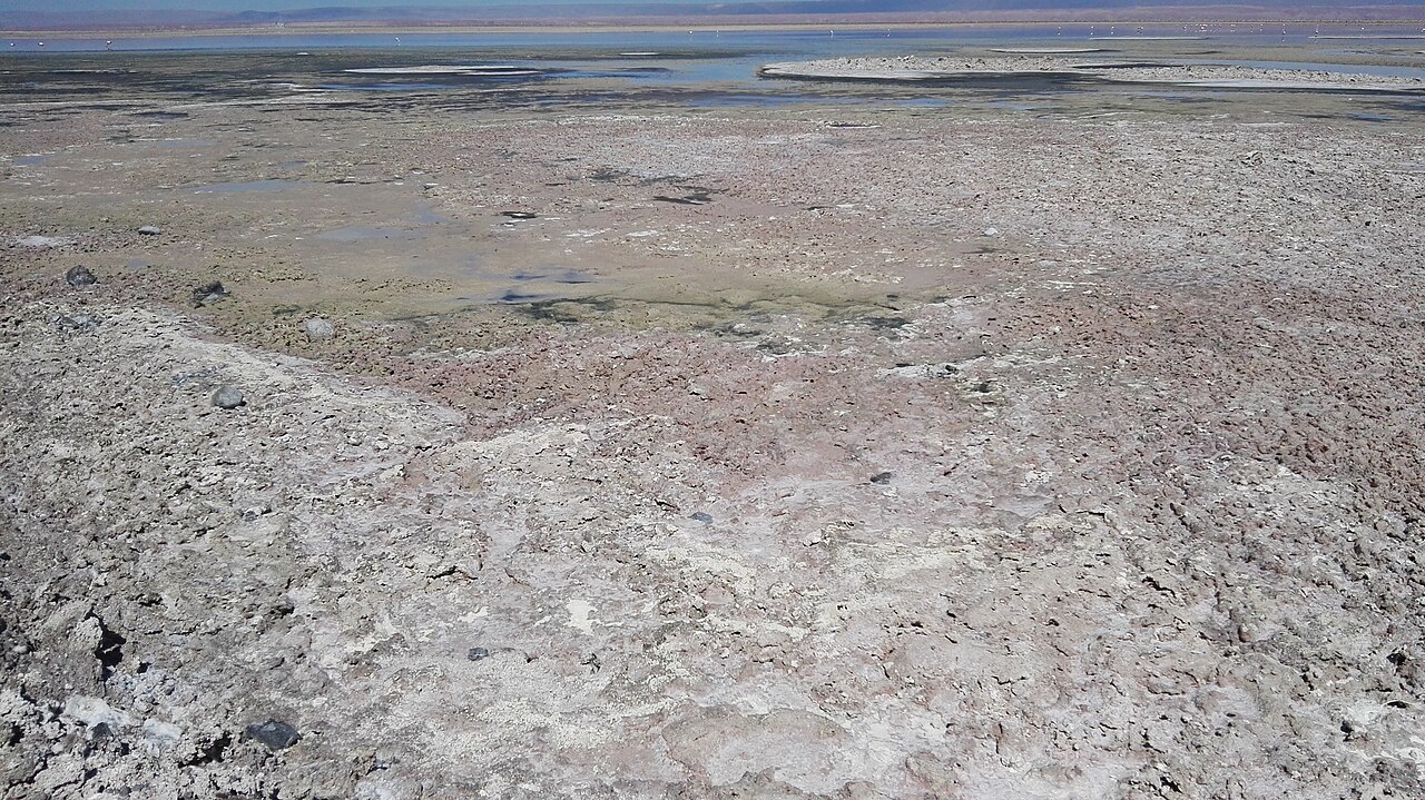 Photo of Laguna Chaxa (3)