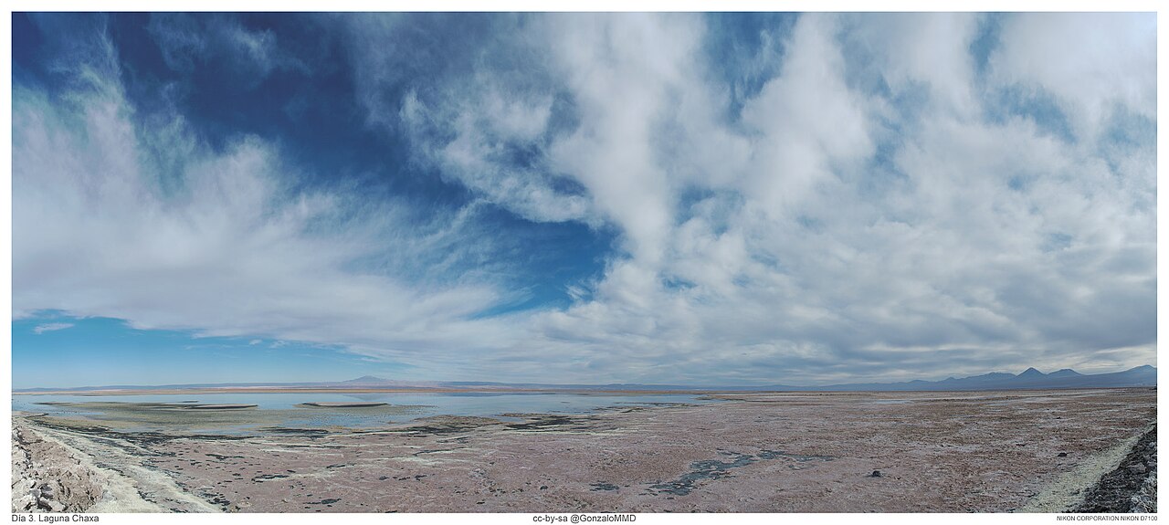 Photo of Laguna Chaxa (4)