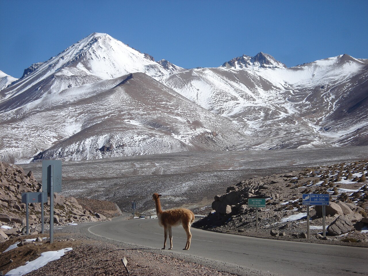 CH-11: Putre → Lago Chungará por el Parque Nacional Lauca