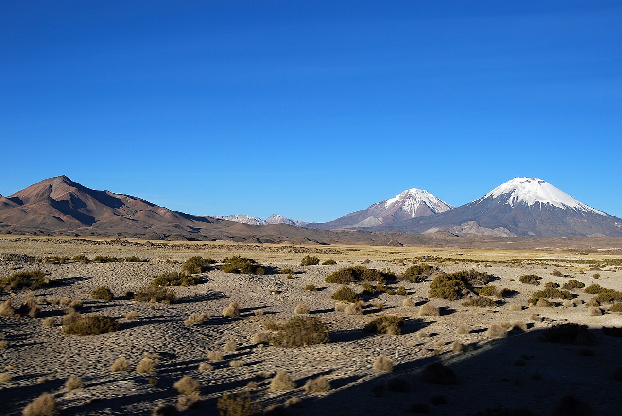 Foto de CH-11: Putre → Lago Chungará por el Parque Nacional Lauca (5)