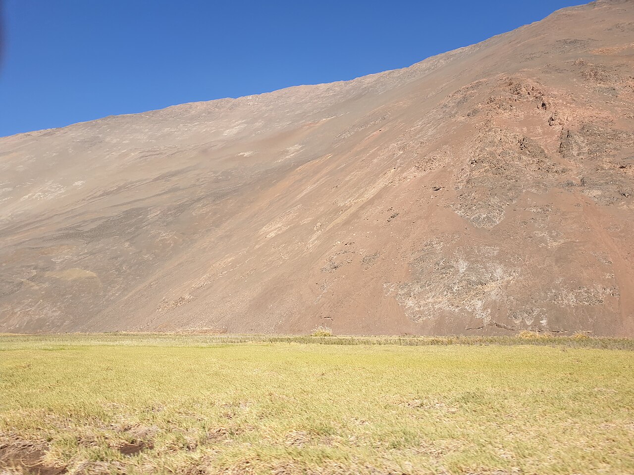 Foto de Ruta 5: Arica → Cuya por las cuestas de Chaca y Camarones (5)